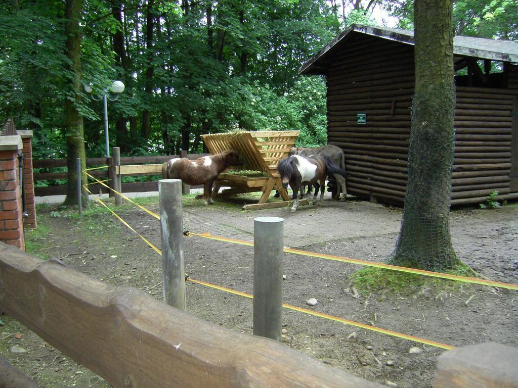 Rothers-Ferienwohnung Annaberg-Buchholz Bagian luar foto